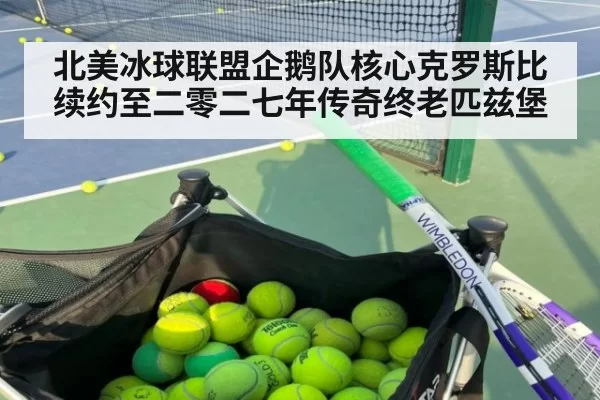 北美冰球联盟企鹅队核心克罗斯比续约至二零二七年传奇终老匹兹堡